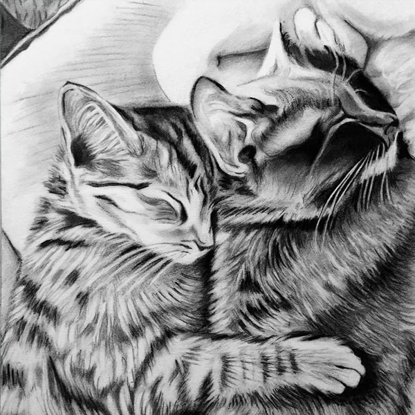 kitties sketch