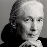 Jane Goodall